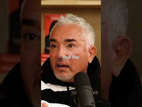 Take Back Your Mind with Cesar Millan