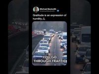 Let gratitude be your dominant state of being ✨