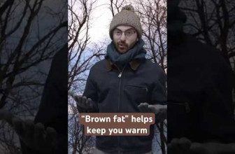 “Brown fat” helps keep you warm ☃️ #winter #fat #cold