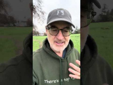 Have you registered for the free New Year’s Day event…? www.tapwithbrad.com/live