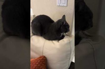 Join me for live tapping on Friday, Dec. 12 - www.tapwithbrad.com/live