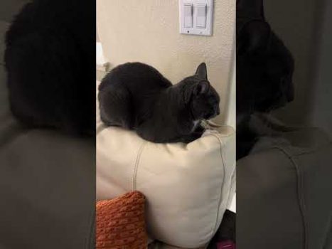 Join me for live tapping on Friday, Dec. 12 - www.tapwithbrad.com/live