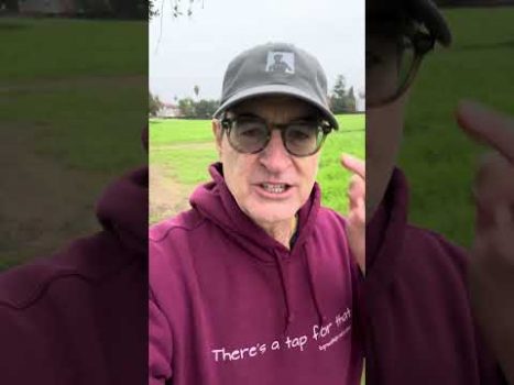 Make daily tapping part of your holiday routine… and join us live on Friday! tapwithbrad.com/live