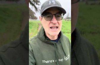 Join me LIVE TODAY! 😃 12/12 @ 1pm PT www.tapwithbrad.com/live