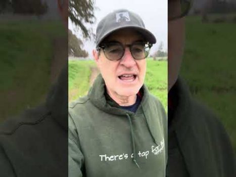 Join me LIVE TODAY! 😃 12/12 @ 1pm PT www.tapwithbrad.com/live