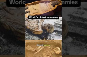 The world’s oldest mummies #mummy #ancient #human