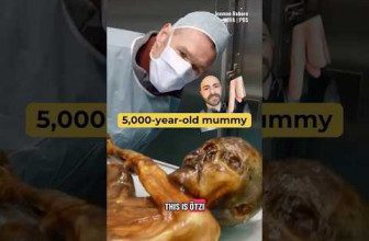 5,000-year-old mummy #otzi #mummy #ancient