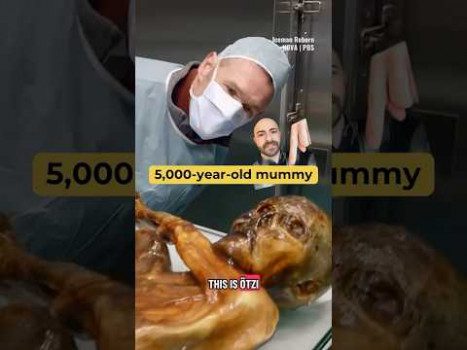5,000-year-old mummy #otzi #mummy #ancient
