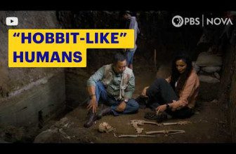 Meet Real “Hobbit-Like” Ancient Humans | NOVA | PBS