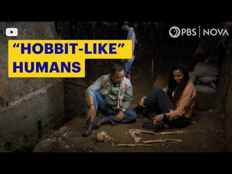 Meet Real “Hobbit-Like” Ancient Humans | NOVA | PBS