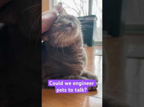 Could we engineer pets to talk? #pets #animals #cats