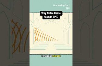 Why Notre Dame sounds EPIC #notredame #acoustics #physics #sound