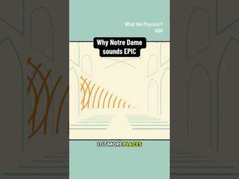 Why Notre Dame sounds EPIC #notredame #acoustics #physics #sound
