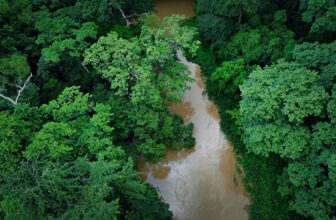 Osun-Osogbo Sacred Grove | Yoruba Sacred Geography and Living Tradition