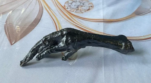 Iron Claw Chicken Foot™ | Anointed Hoodoo Talisman