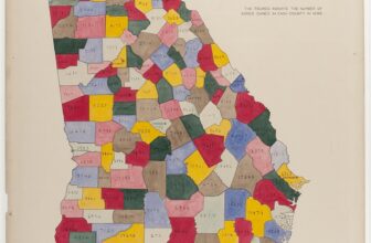 W.E.B. Du Bois / The Georgia Negro charts