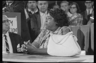 Freedom Summer