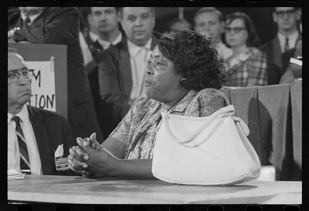 Freedom Summer