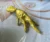 Crossroads Claw Chicken Foot™ | Anointed Hoodoo Talisman